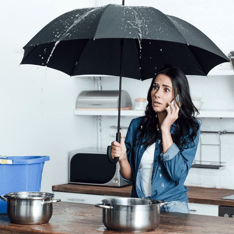 Picture of Auto Open Colourised Fashion Umbrella