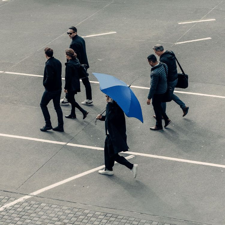Picture of BLUNT Exec Umbrella