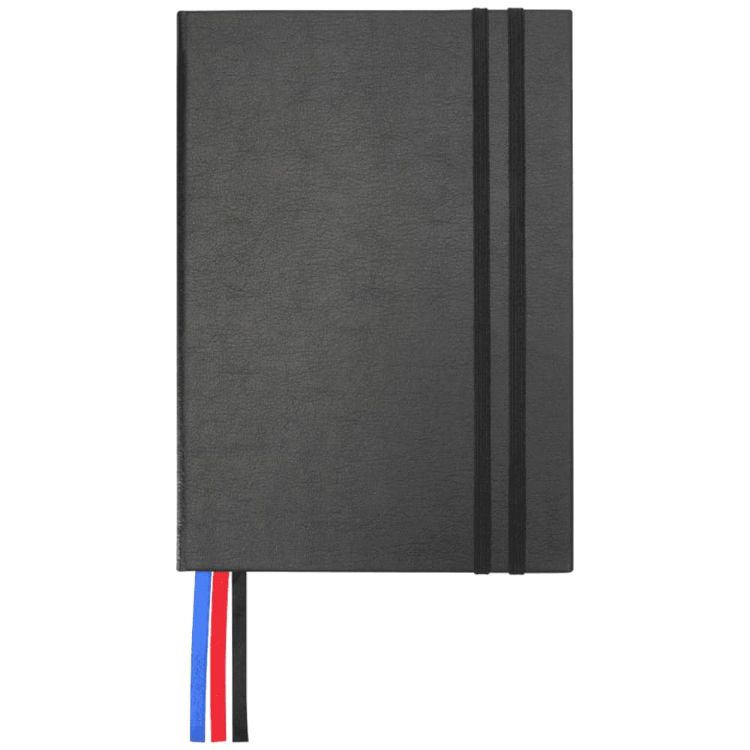Picture of JournalBook Alder 365 Page Diary