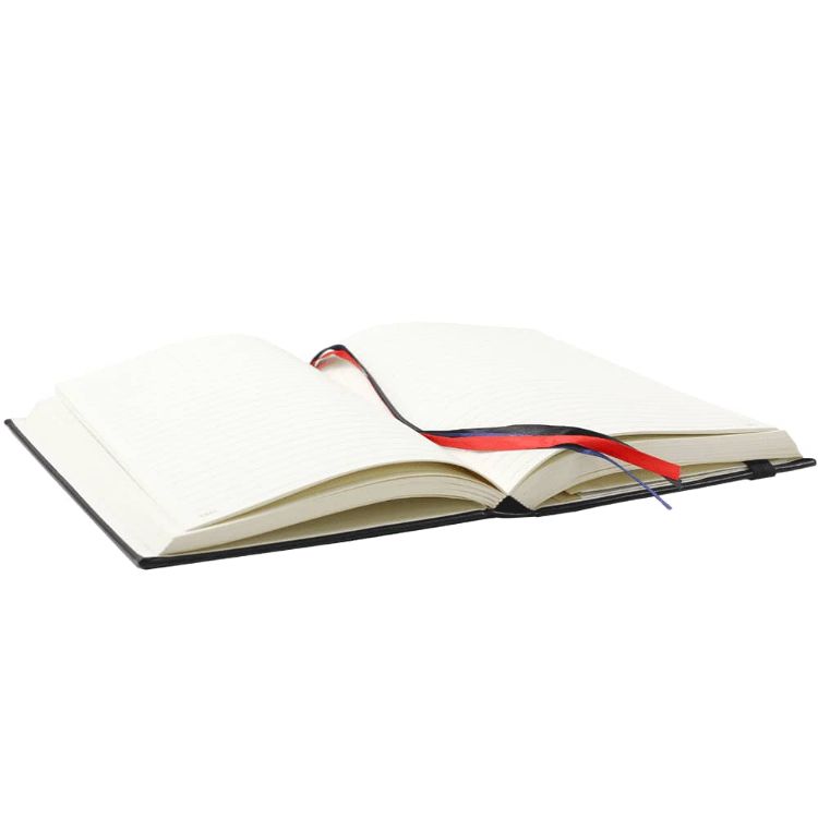 Picture of JournalBook Alder 365 Page Diary