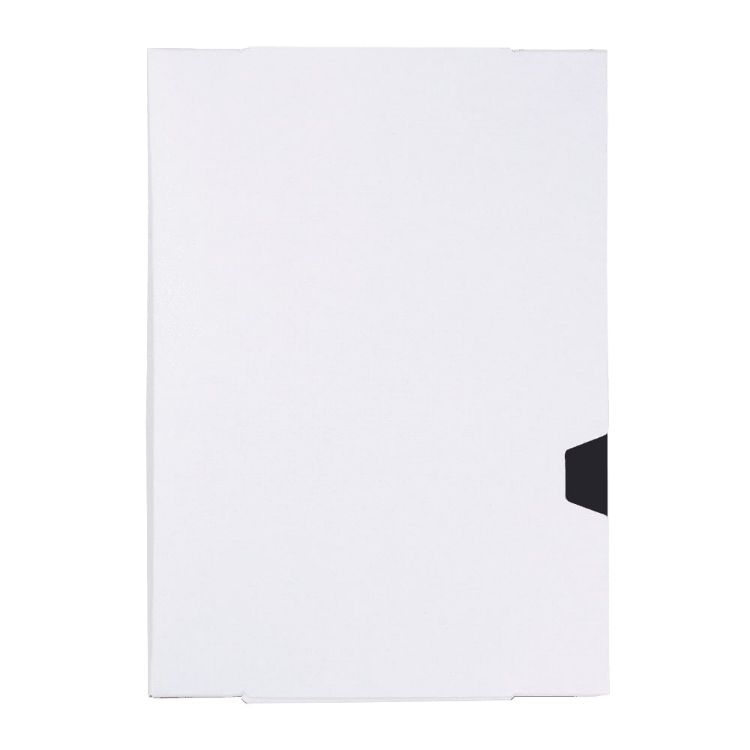 Picture of JournalBook Alder 365 Page Diary