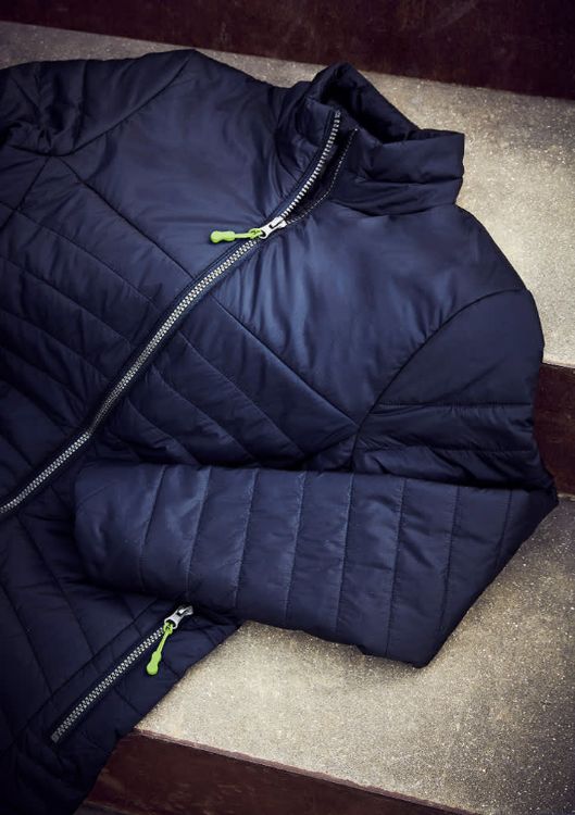 Picture of Zippies