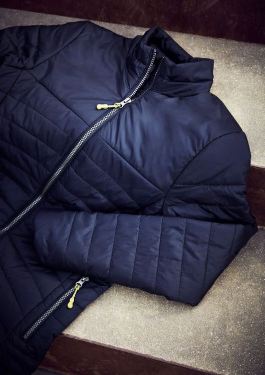 Picture of Zippies