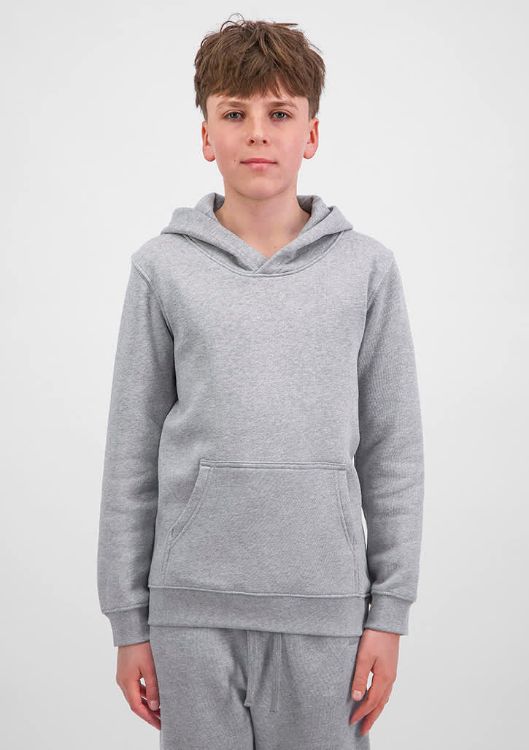 Picture of Basis Youth Hoodie