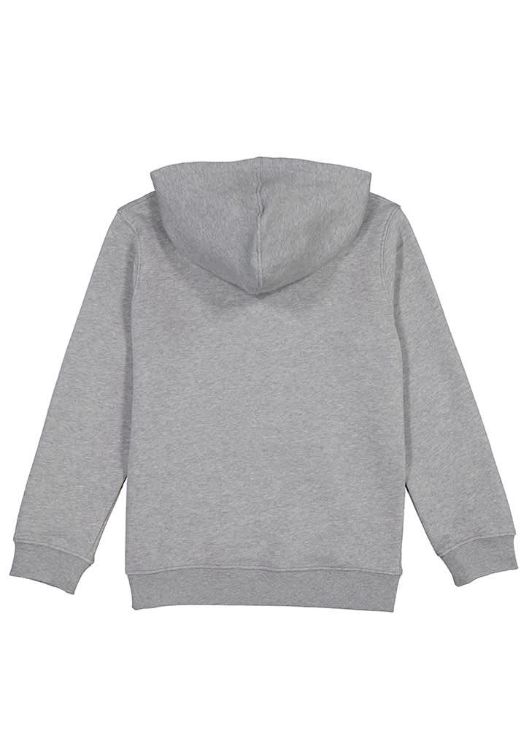 Picture of Basis Youth Hoodie