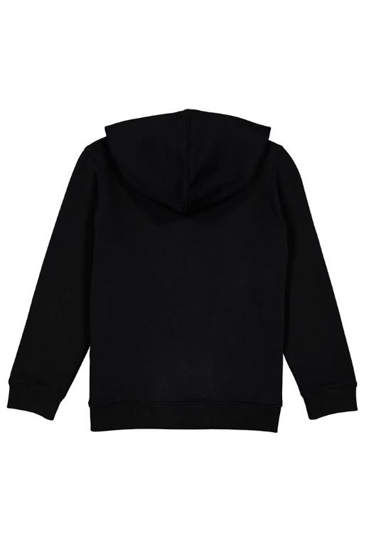 Picture of Basis Kids Hoodie