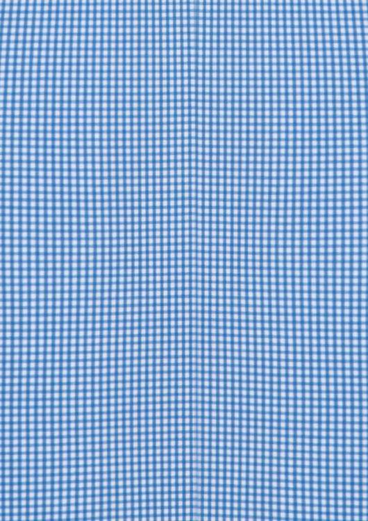 Picture of Ellison Mens Long Sleeve Shirt