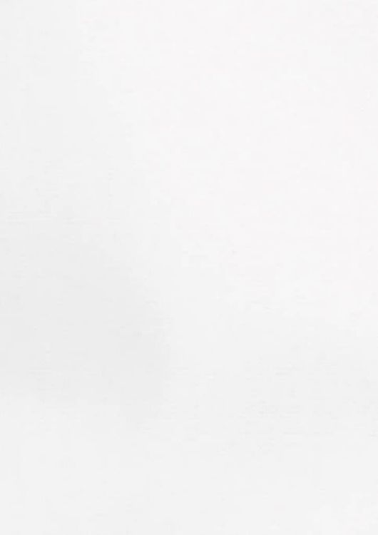 Picture of Hudson Womens Long Sleeve Shirt