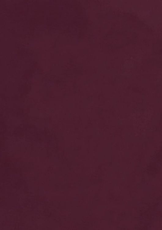 Picture of Hudson Womens Long Sleeve Shirt