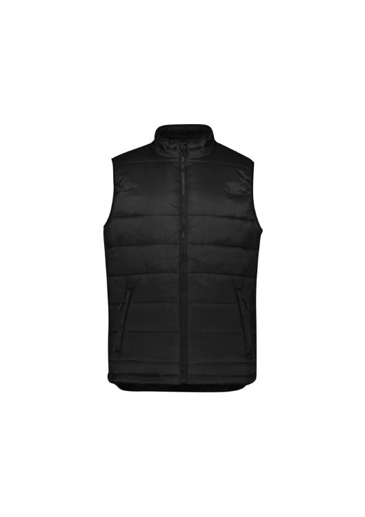 Picture of Alpine Mens Vest