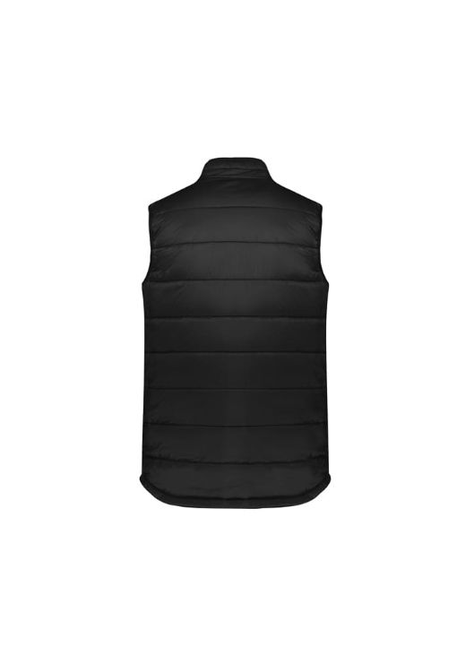 Picture of Alpine Mens Vest