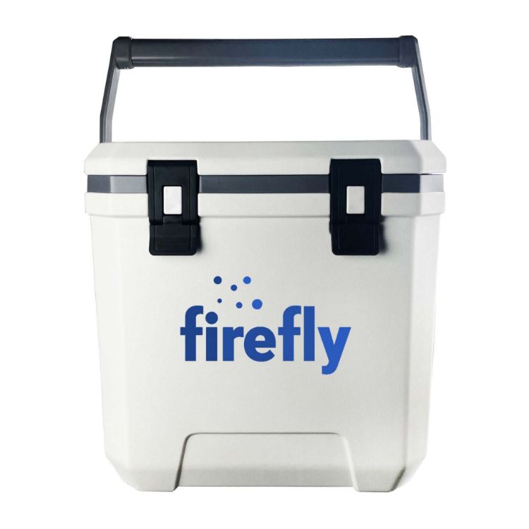 Picture of Jasper Cooler Box 24L