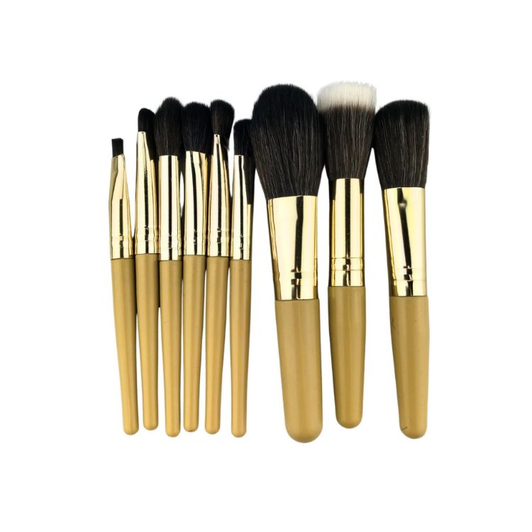 Picture of 9 Brushes in a Case