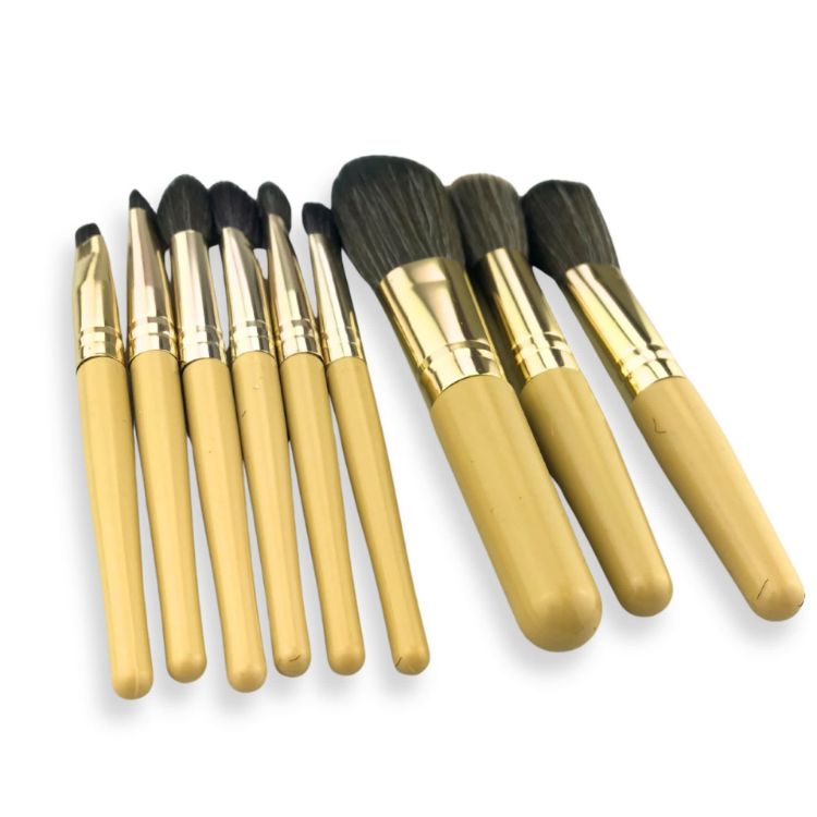 Picture of 9 Brushes in a Case