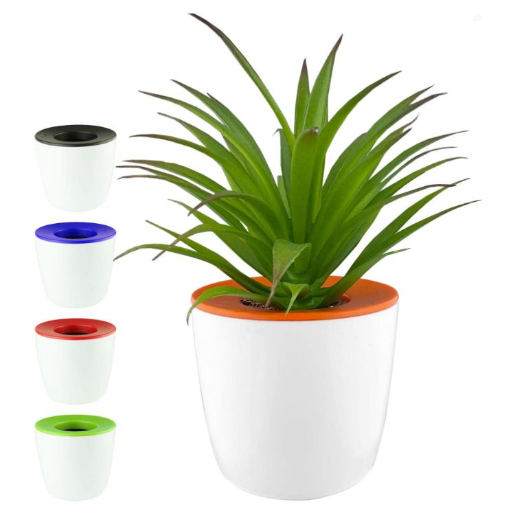 Picture of Mini Desk Plant Pot
