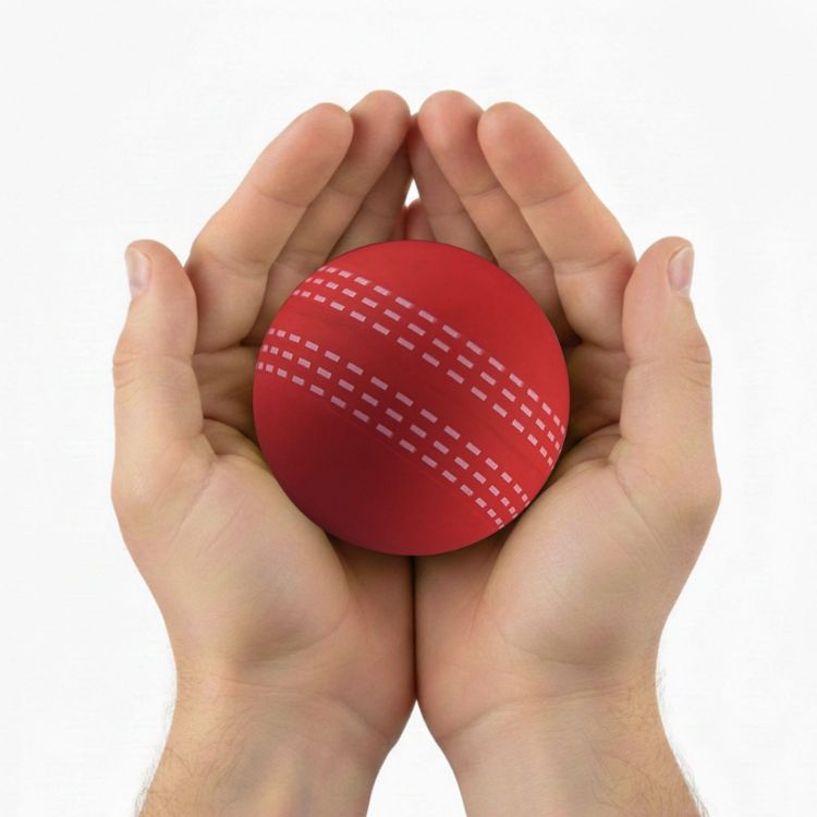 Picture of High Bounce Cricket Ball