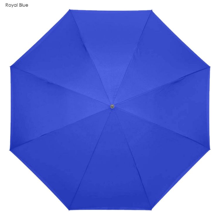 Picture of Sky Inverted Umbrella
