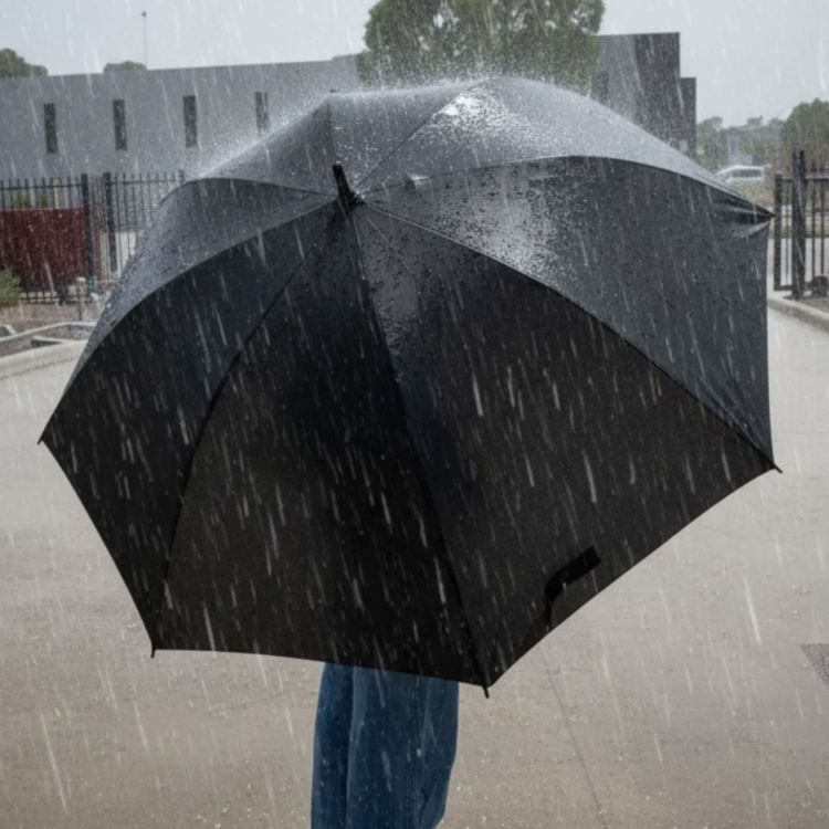 Picture of York Umbrella