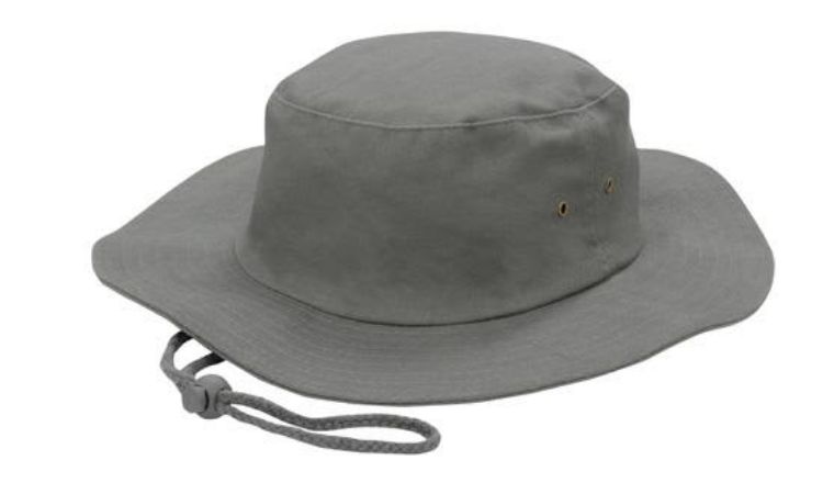 Picture of Brushed Heavy Sports Twill Hat