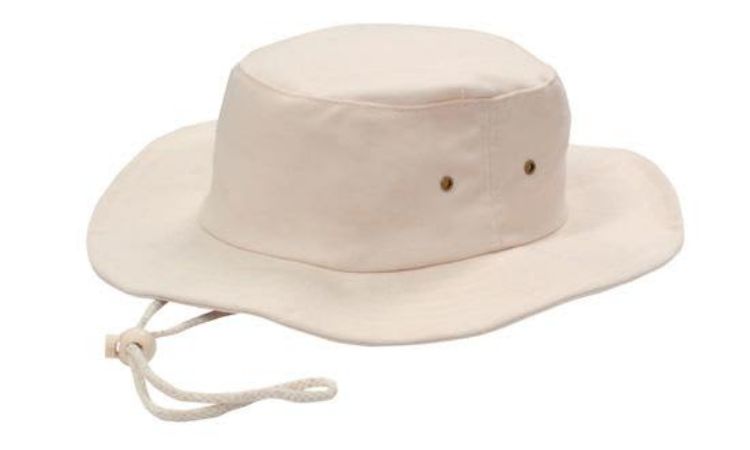 Picture of Brushed Heavy Sports Twill Hat