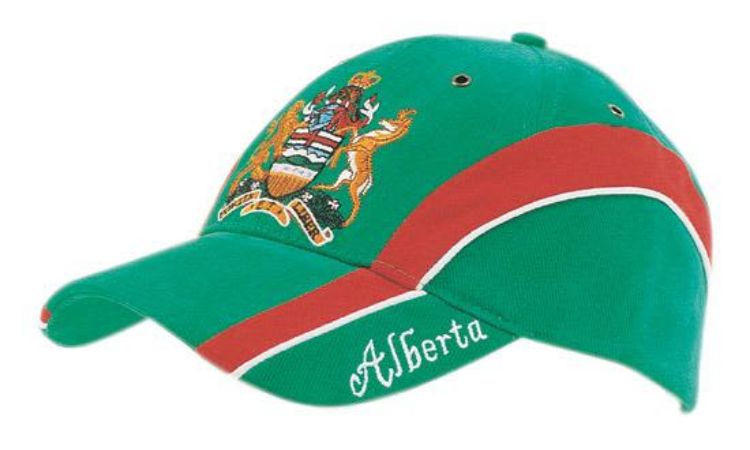 Picture of Brushed Heavy Cotton with Embroidered Peak Insert