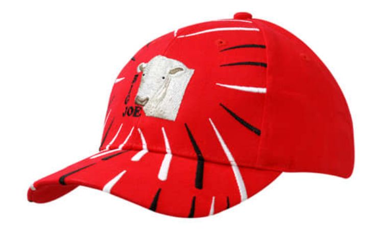 Picture of Brushed Heavy Cotton with Embroidered Lines on Crown & Peak