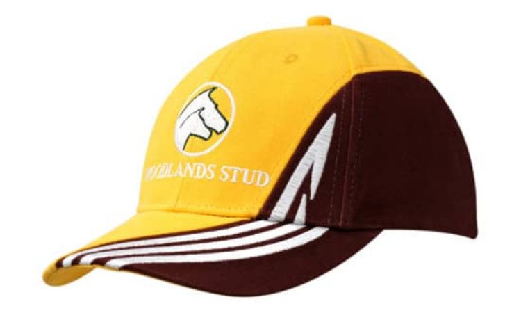 Picture of Brushed Heavy Cotton with Fabric Insert & Embroidered Design on Crown & Peak