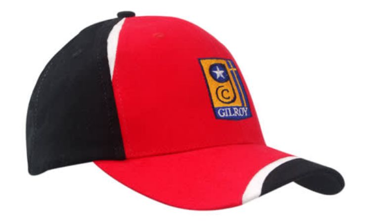 Picture of Brushed Heavy Cotton with Fabric Inserts on Crown & Peak
