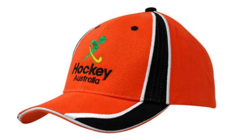Picture of Brushed Heavy Cotton with Sandwich Trim and Fabric Inserts/Embroidery on Crown & Peak