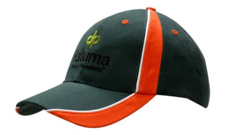 Picture of Brushed Heavy Cotton with Fabric Inserts & Piping