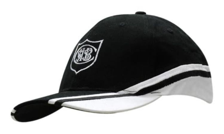 Picture of Brushed Heavy Cotton with Crown & Peak Inserts/Embroidery