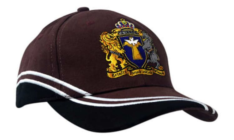 Picture of Brushed Heavy Cotton with Inserts/Embroidery on Crown & Peak