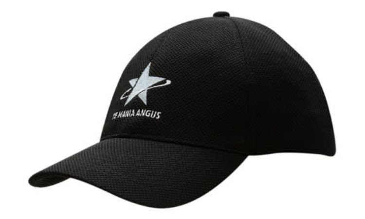 Picture of Double Pique Mesh Fitted Cap