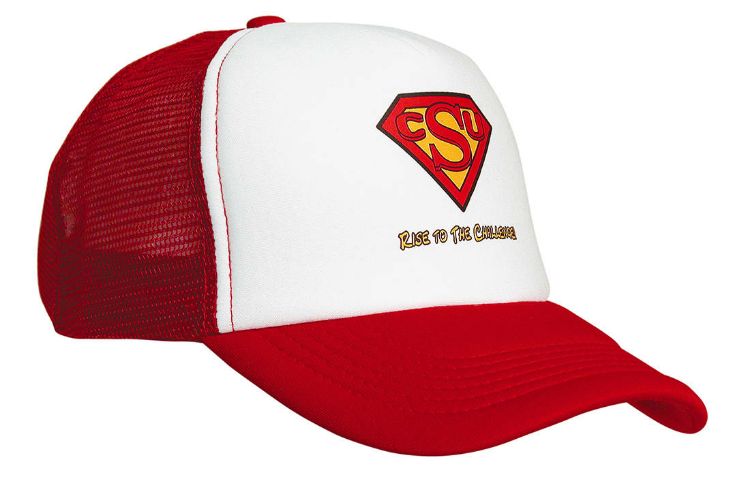 Picture of Truckers Mesh Cap