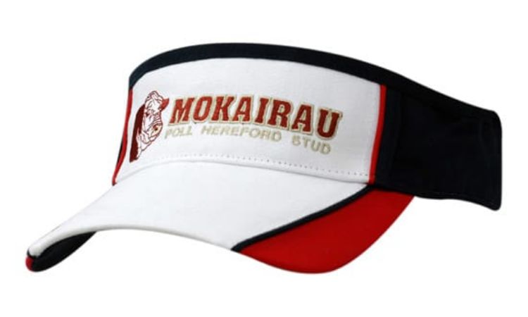 Picture of Brushed Heavy Cotton Tri Colour Visor