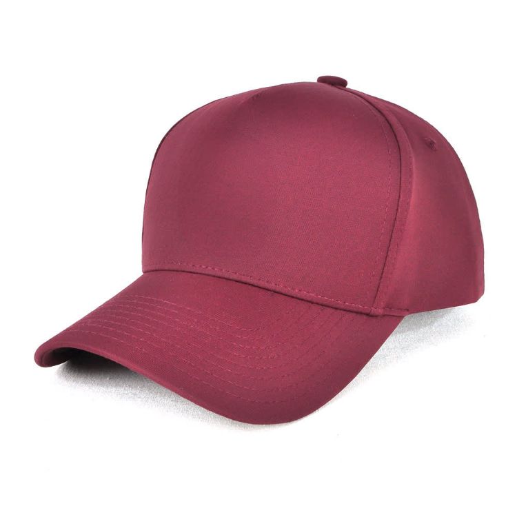 Picture of D-Lux 5 Panel Cap