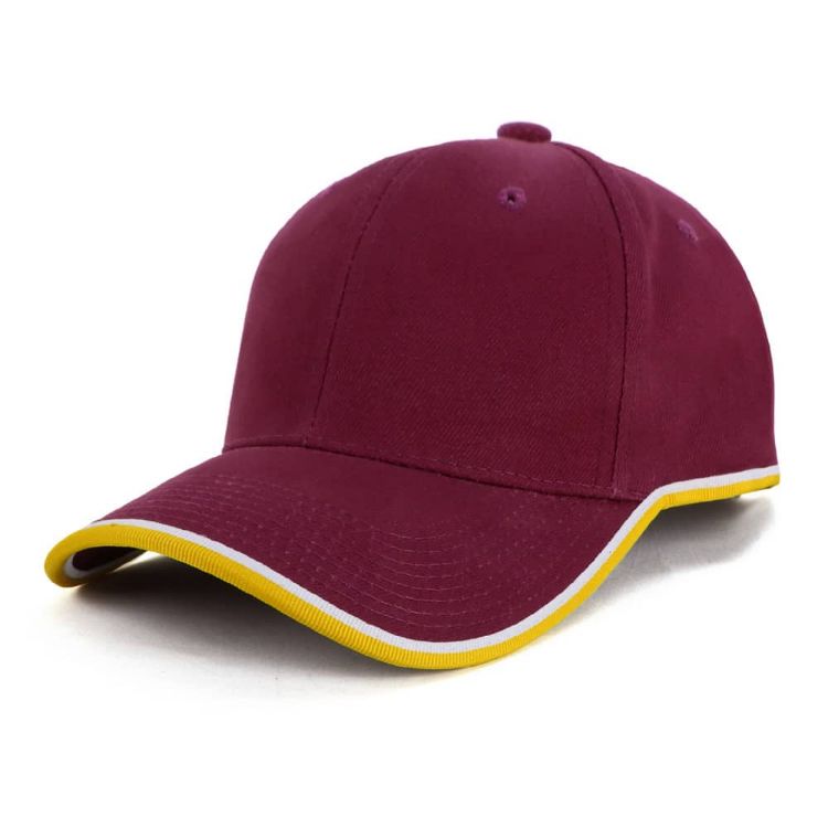 Picture of Michigan Cap