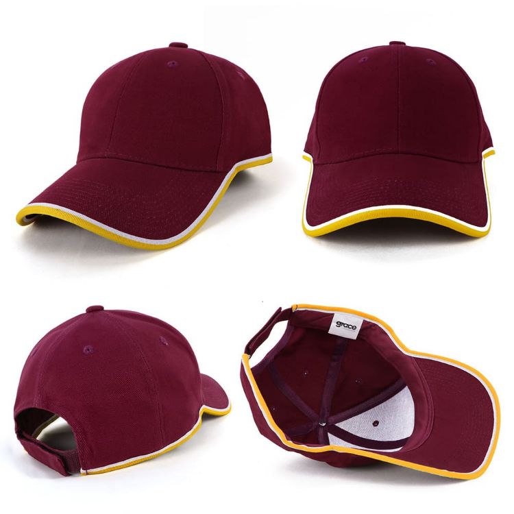 Picture of Michigan Cap