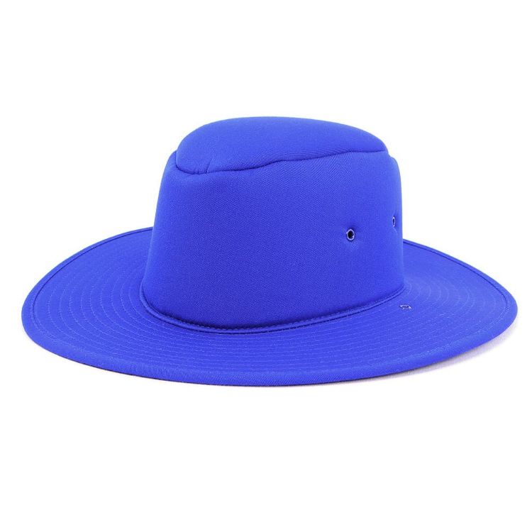 Picture of School Foam Hat