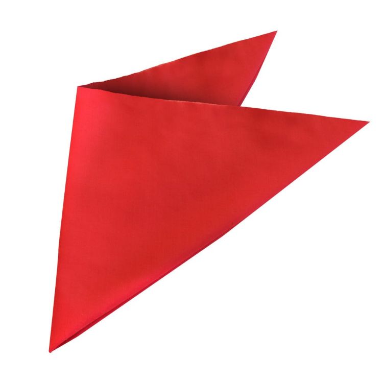 Picture of Bandanna