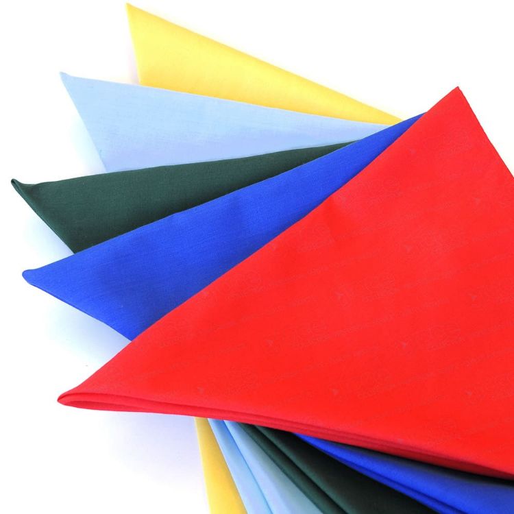 Picture of Bandanna