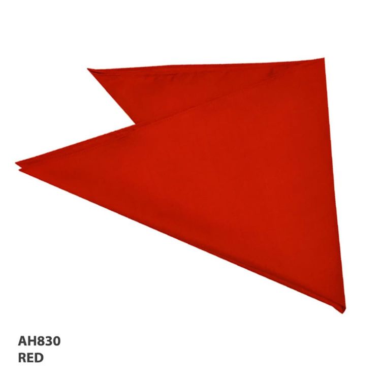 Picture of Bandanna