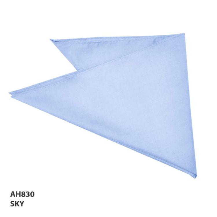 Picture of Bandanna