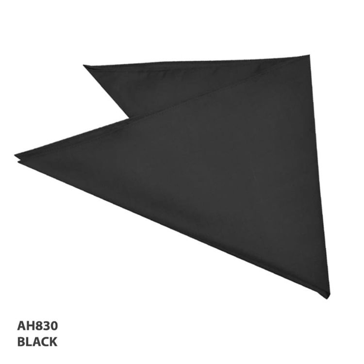 Picture of Bandanna