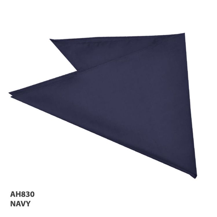 Picture of Bandanna