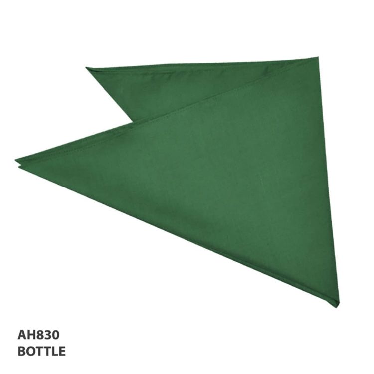 Picture of Bandanna