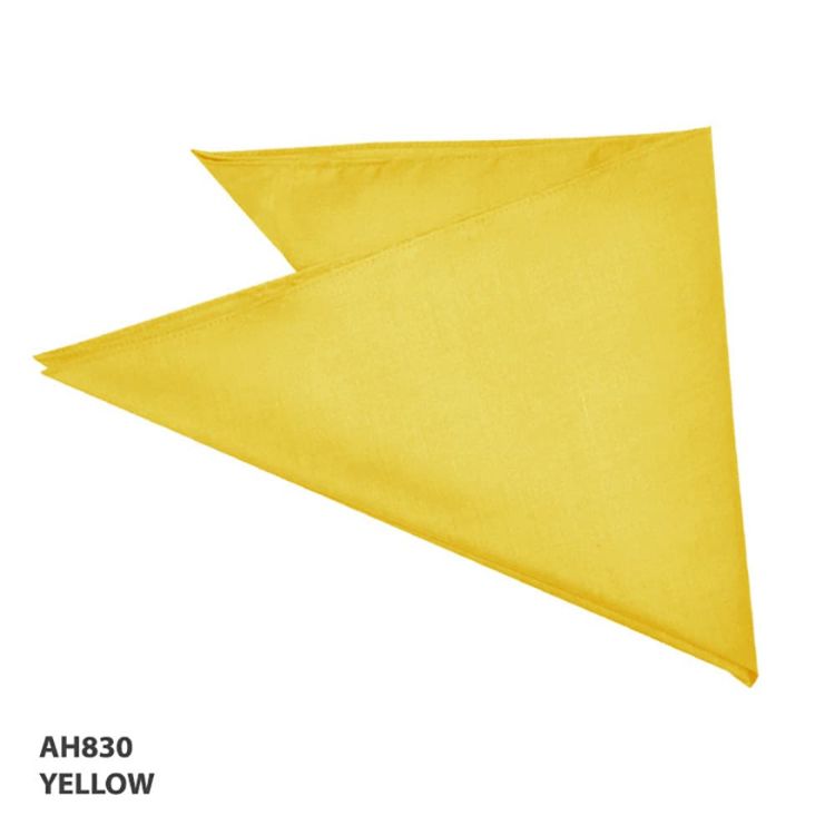 Picture of Bandanna