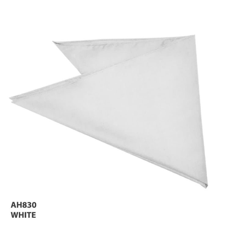 Picture of Bandanna