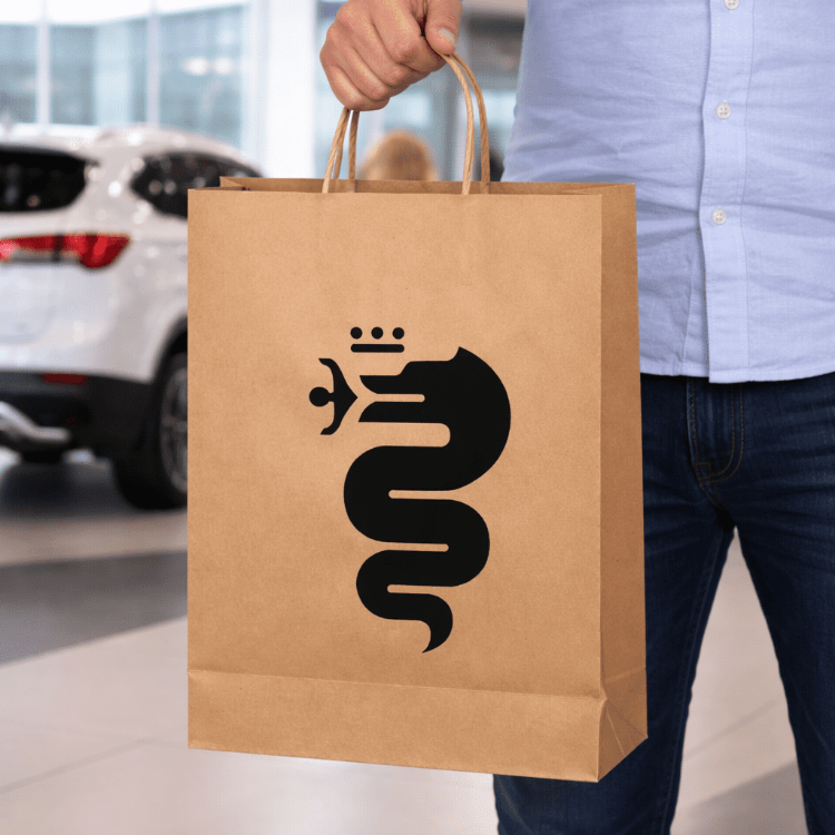 Picture of Paper Show Bag