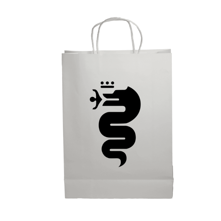 Picture of Paper Show Bag